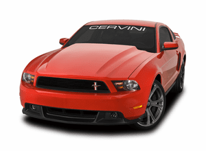 10-12 Mustang Cobra R Hood