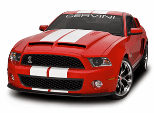 10-14 GT500 Hoods