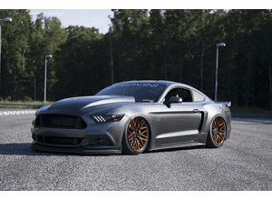 15-17 Mustang 4 inch Cowl Hood