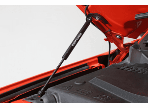 2015-2023 Cervini's Mustang Hood Struts
